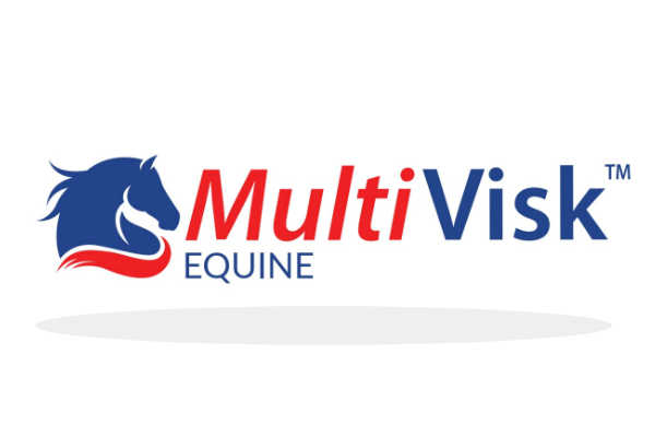 multivisk equine logo